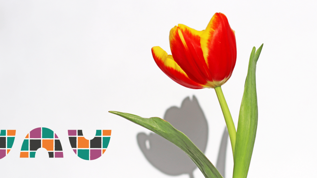 Tulppaani. Suhdekeskuksen logo.
